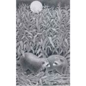 03. Kit_ The Adventures of a Raccoon by Shirley Woods; Groundwood Books, 1999